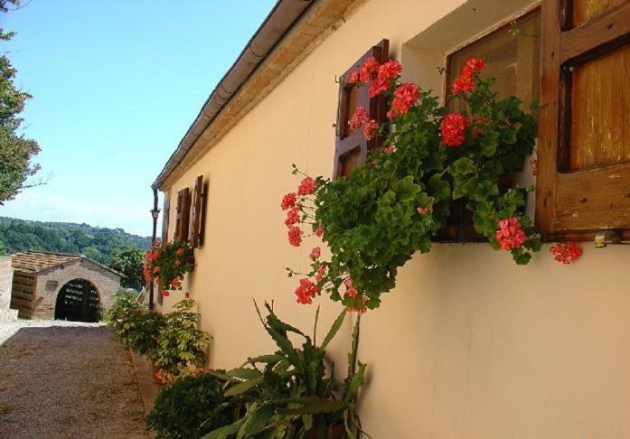 Fattoria Casanova Villa Palaia Luaran gambar