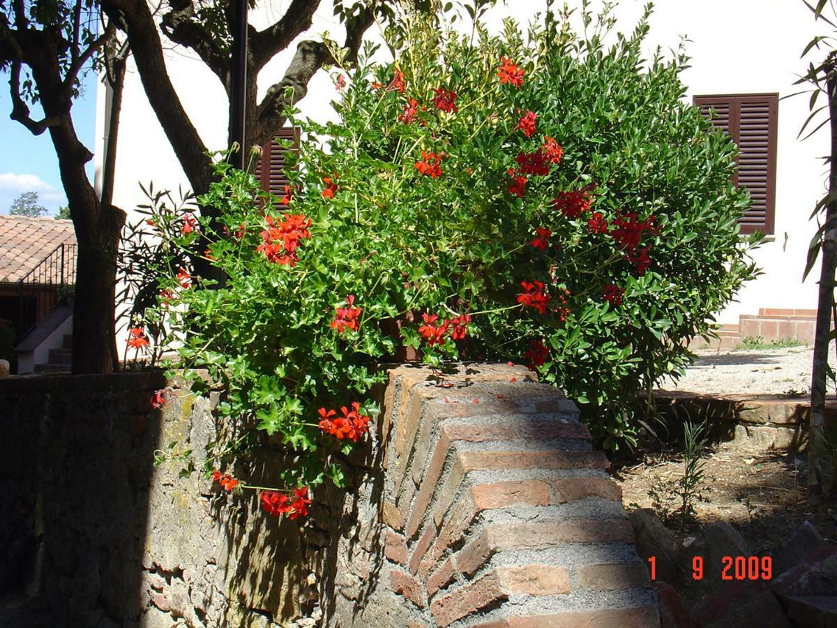 Fattoria Casanova Villa Palaia Luaran gambar
