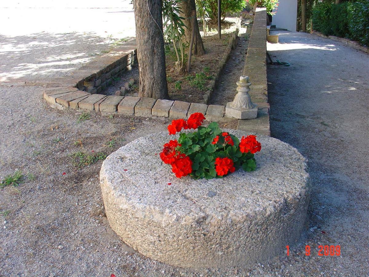 Fattoria Casanova Villa Palaia Luaran gambar