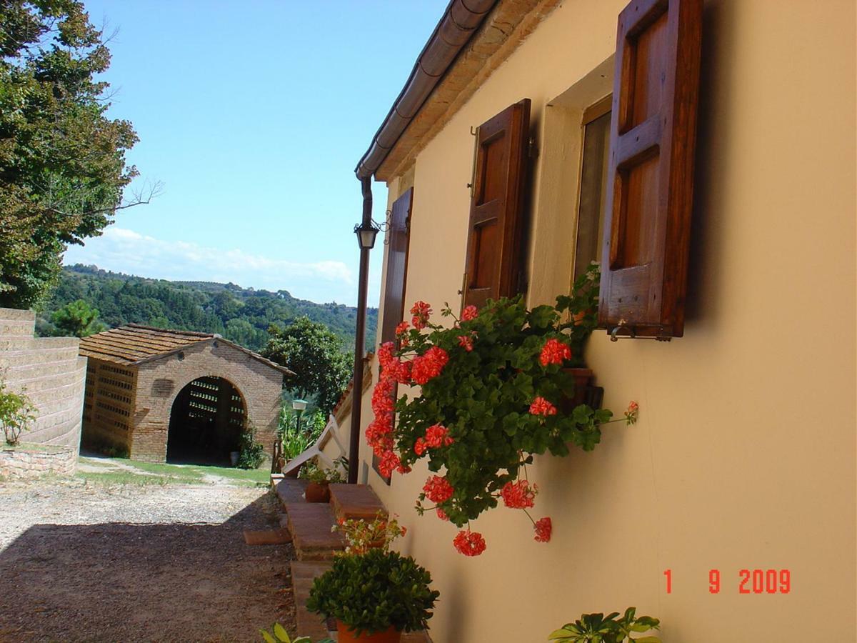 Fattoria Casanova Villa Palaia Luaran gambar